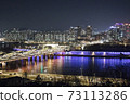 Seoul Han River Night View 73113286