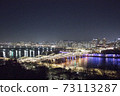 Seoul Han River Night View 73113287
