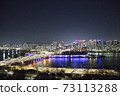 Seoul Han River Night View 73113288