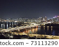 Seoul Han River Night View 73113290