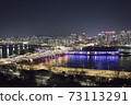 Seoul Han River Night View 73113291
