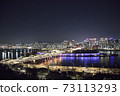 Seoul Han River Night View 73113293