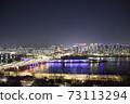 Seoul Han River Night View 73113294