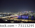 Seoul Han River Night View 73113295
