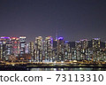 Seoul Han River Night View 73113310