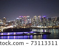 Seoul Han River Night View 73113311