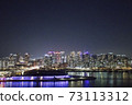 Seoul Han River Night View 73113312