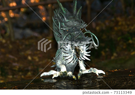 武藏國二宮力量現貨近祖神社的鐵水sha龍 73113349