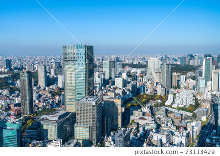 東京中城等日本東京城市景觀的視圖 東京中城等日本東京城市景觀的視圖 73113429
