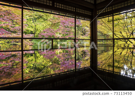 Kyoto Yase Ruriko-in desk maple autumn special visit 73113450