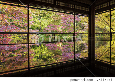 Kyoto Yase Ruriko-in desk maple autumn special visit Kyoto Yase Ruriko-in desk maple autumn special visit 73113451