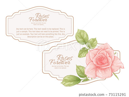 Set of face and back labels for products 73115291
