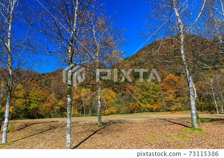 富山,發射場,巴巴島和富士山的秋葉。 富山,發射場,巴巴島和富士山的秋葉。 73115386