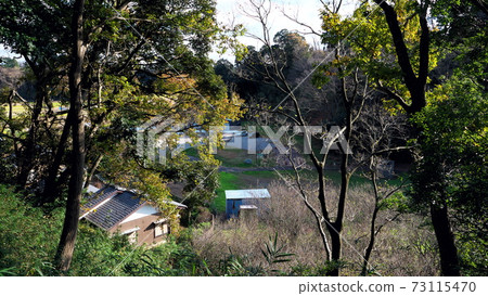 本倉城的景色 73115470