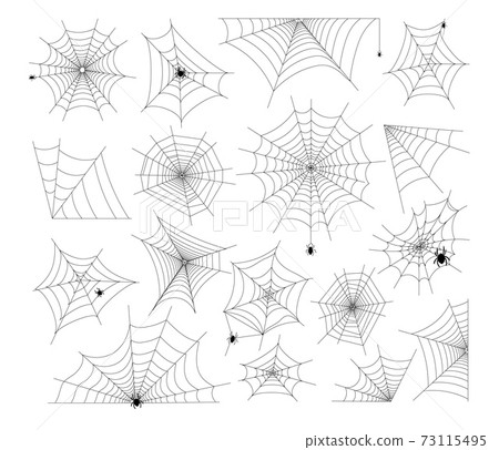 Cobweb and spider Halloween scary element set Cobweb and spider Halloween scary element set 73115495