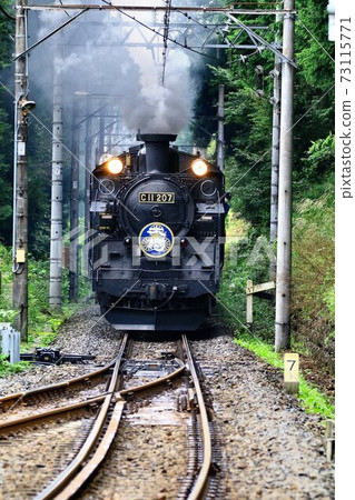 Going on Kinugawa Road ... Steam locomotive [C11-207] 73115771