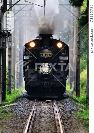 Going on Kinugawa Road ... Steam locomotive [C11-207] 73115783