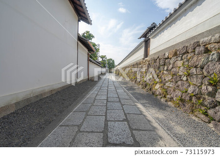 Myoshinji寺 Myoshinji寺 73115973
