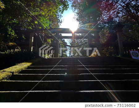 武藏國二宮,近祖神社的光路 武藏國二宮,近祖神社的光路 73116002