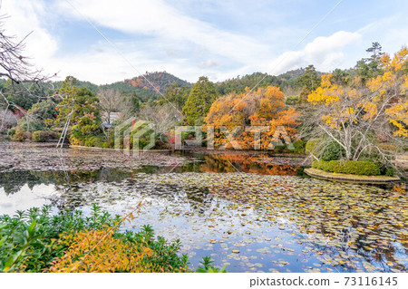 和平龍寺 73116145