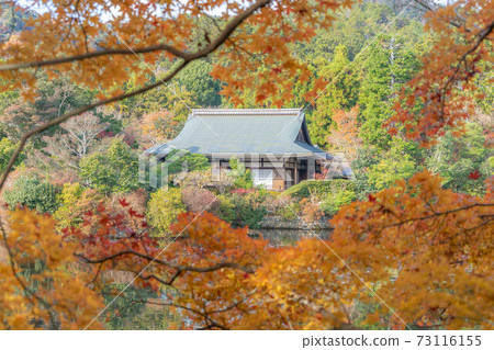 和平龍寺 73116155