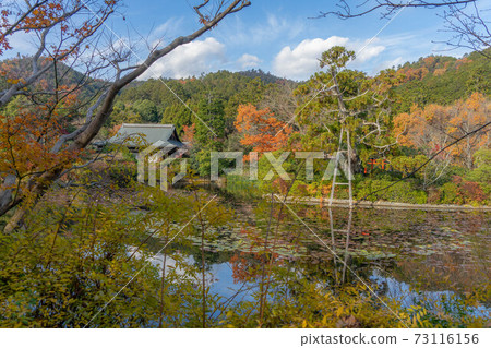 和平龍寺 73116156
