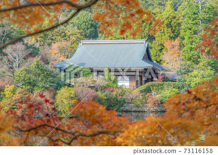 和平龍寺 73116158
