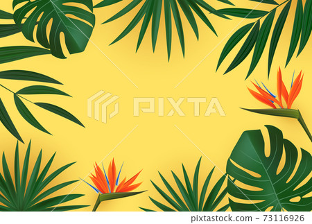 Natural Realistic Green Palm Leaf with Strelitzia Flower Tropical Background. Vector illustration EPS10 Natural Realistic Green Palm Leaf with Strelitzia Flower Tropical Background. Vector illustration EPS10 73116926
