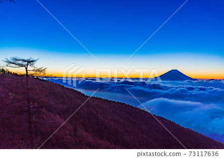 （山梨縣）富士山漂浮在繁星密布的天空下的Ounkai 73117636