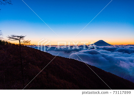 (Yamanashi Prefecture) Mt. Fuji floating in the sea of clouds before dawn (Yamanashi Prefecture) Mt. Fuji floating in the sea of clouds before dawn 73117899
