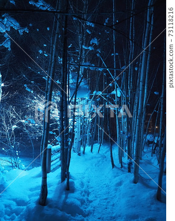 晚上看到美麗的雪景 晚上看到美麗的雪景 73118216