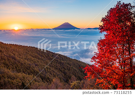 (Yamanashi Prefecture) Autumn leaves of Mt. Kushigata Mt. Fuji floating in the sea of clouds Sunrise (Yamanashi Prefecture) Autumn leaves of Mt. Kushigata Mt. Fuji floating in the sea of clouds Sunrise 73118255