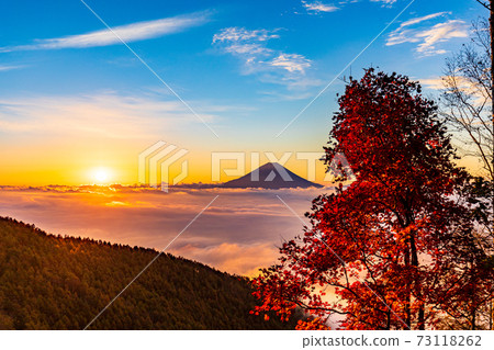(山梨縣)g形山的秋葉,漂浮在恩海的富士山,日出 (山梨縣)g形山的秋葉,漂浮在恩海的富士山,日出 73118262