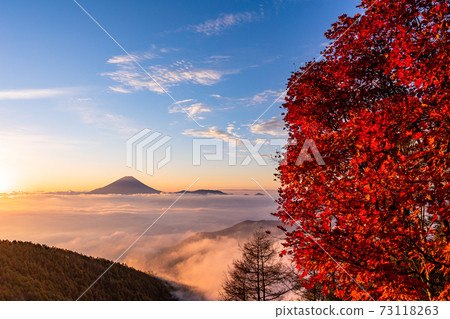 (山梨縣)g形山的秋葉,漂浮在恩海的富士山,日出 (山梨縣)g形山的秋葉,漂浮在恩海的富士山,日出 73118263