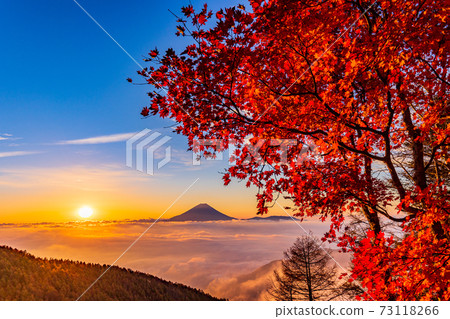 （山梨縣）g形山的秋葉，漂浮在恩海的富士山，日出 73118266
