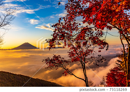 (Yamanashi Prefecture) Autumn leaves of Mt. Kushigata Mt. Fuji floating in the sea of clouds Sunrise (Yamanashi Prefecture) Autumn leaves of Mt. Kushigata Mt. Fuji floating in the sea of clouds Sunrise 73118269