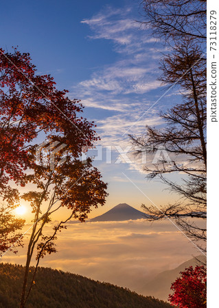(Yamanashi Prefecture) Autumn leaves of Mt. Kushigata Mt. Fuji floating in the sea of clouds Sunrise (Yamanashi Prefecture) Autumn leaves of Mt. Kushigata Mt. Fuji floating in the sea of clouds Sunrise 73118279