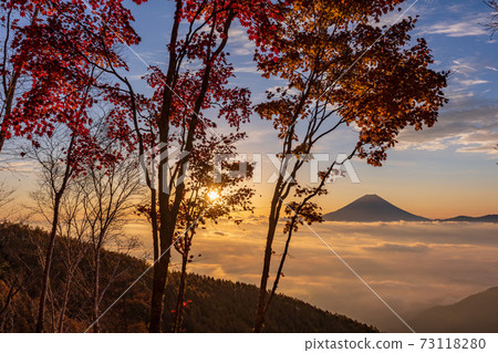 (Yamanashi Prefecture) Autumn leaves of Mt. Kushigata Mt. Fuji floating in the sea of clouds Sunrise (Yamanashi Prefecture) Autumn leaves of Mt. Kushigata Mt. Fuji floating in the sea of clouds Sunrise 73118280