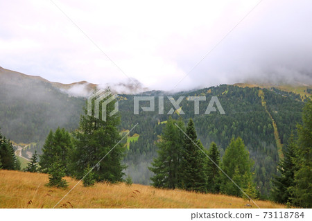 The peaks of the Dolomites in Italy are covered in fog. Early wet foggy morning. Beginning of autumn. Clean fresh air, lack of people. Selective focus. 73118784