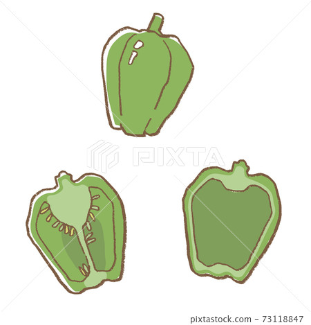 Line art vegetable pepper vector illustration set 73118847
