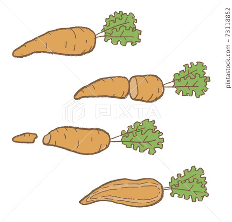 Line art vegetable carrot vector illustration set Line art vegetable carrot vector illustration set 73118852