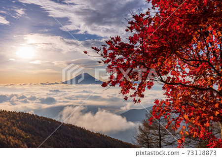 (Yamanashi Prefecture) Autumn leaves of Mt. Kushigata Mt. Fuji floating in the sea of clouds (Yamanashi Prefecture) Autumn leaves of Mt. Kushigata Mt. Fuji floating in the sea of clouds 73118873