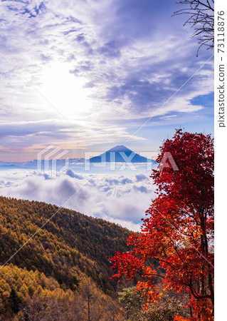 (Yamanashi Prefecture) Autumn leaves of Mt. Kushigata Mt. Fuji floating in the sea of clouds (Yamanashi Prefecture) Autumn leaves of Mt. Kushigata Mt. Fuji floating in the sea of clouds 73118876