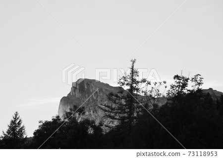 Mystical view of the tops of mountains and trees. Black and white photo. Selective focus. 73118953