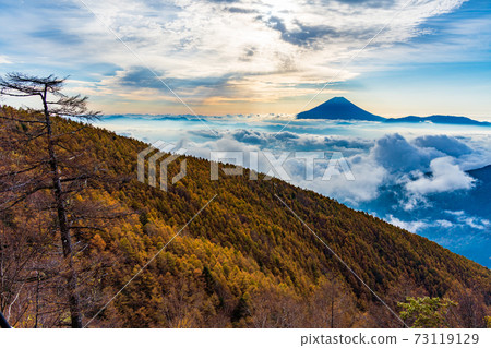 (Yamanashi Prefecture) Autumn leaves of Mt. Kushigata Mt. Fuji floating in the sea of clouds (Yamanashi Prefecture) Autumn leaves of Mt. Kushigata Mt. Fuji floating in the sea of clouds 73119129