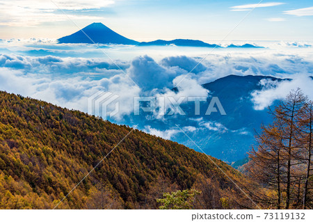 (Yamanashi Prefecture) Autumn leaves of Mt. Kushigata Mt. Fuji floating in the sea of clouds 73119132