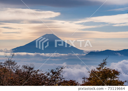 (Yamanashi Prefecture) Autumn leaves of Mt. Kushigata Mt. Fuji floating in the sea of clouds (Yamanashi Prefecture) Autumn leaves of Mt. Kushigata Mt. Fuji floating in the sea of clouds 73119664