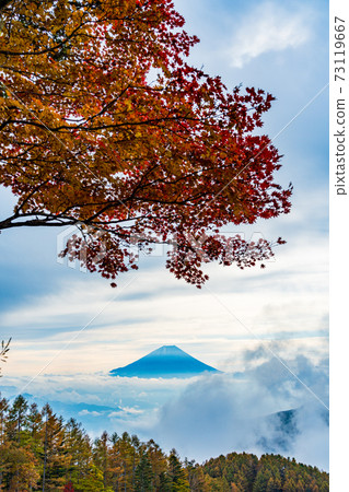 (Yamanashi Prefecture) Autumn leaves of Mt. Kushigata Mt. Fuji floating in the sea of clouds (Yamanashi Prefecture) Autumn leaves of Mt. Kushigata Mt. Fuji floating in the sea of clouds 73119667
