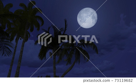 Palm silhouettes under night sky with full moon 3D 73119682