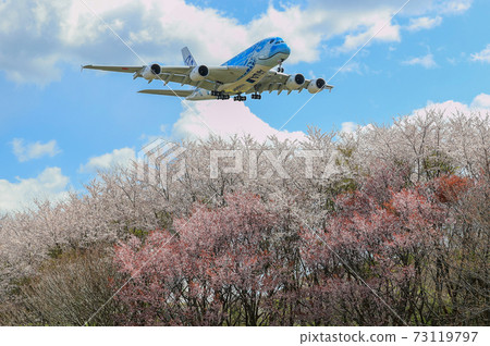 Landing at Narita Airport soon ・ A380 and Sakura 73119797